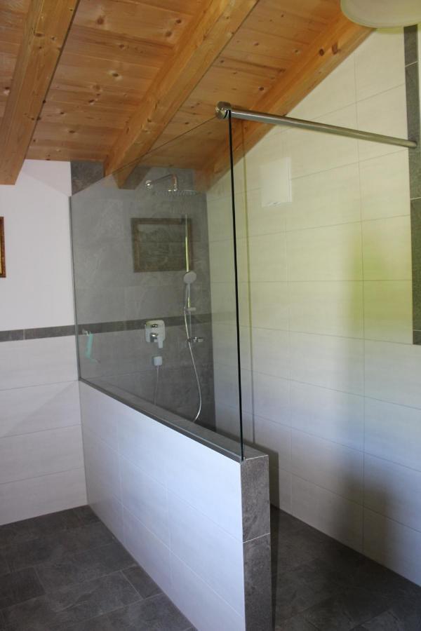 Ferienhaus Schwab Daire Mittersill Dış mekan fotoğraf